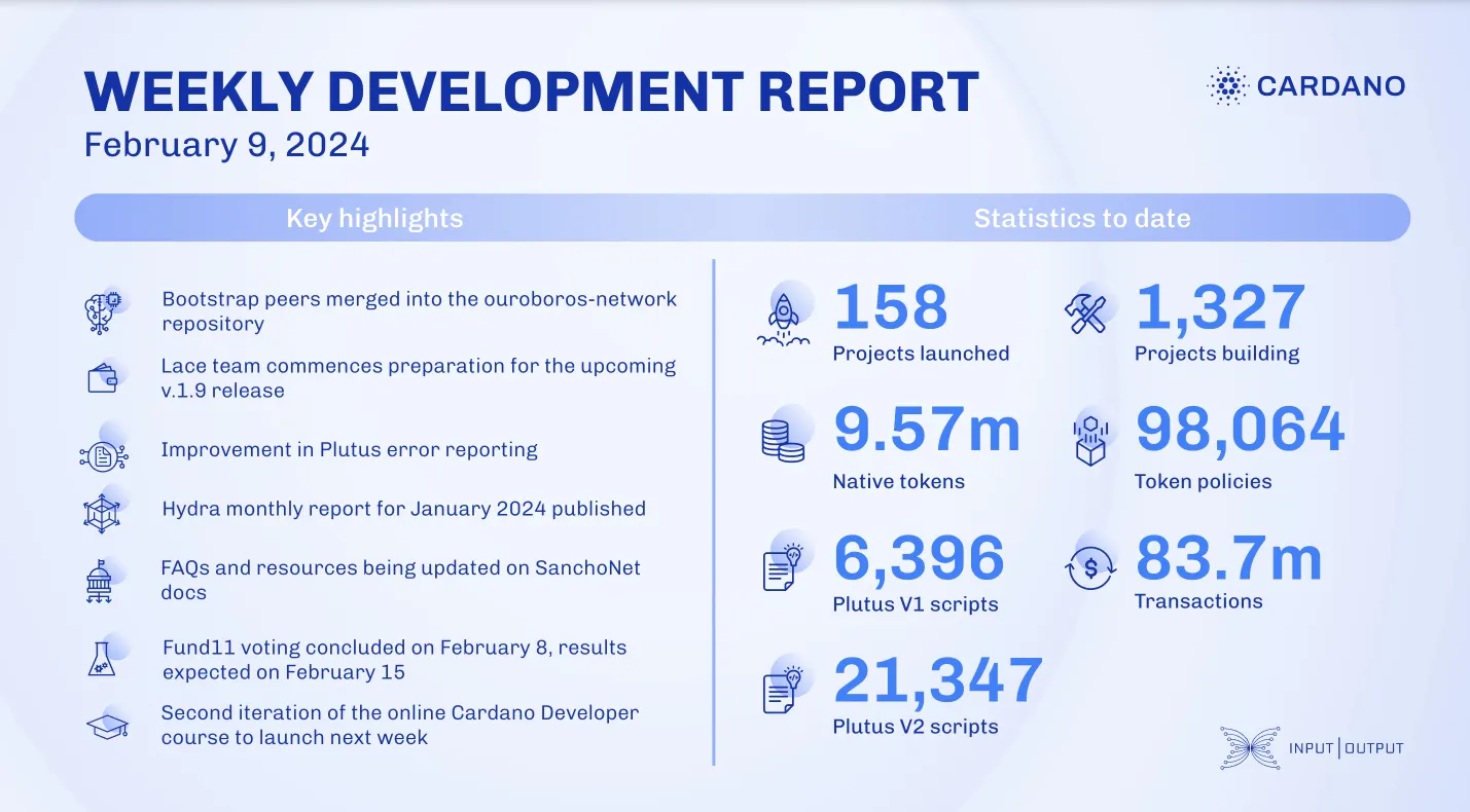 weekly development report