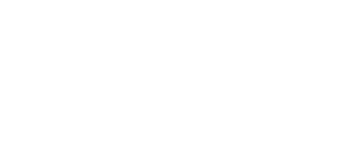 W3Ride